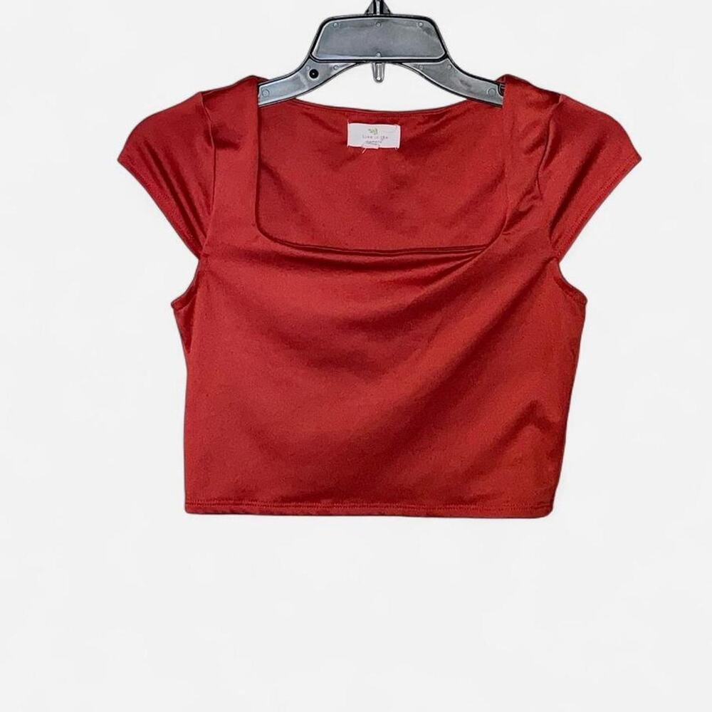 Live In The Moment Brick Red Square Neck Cap Sleeve Cropped Top - Size M